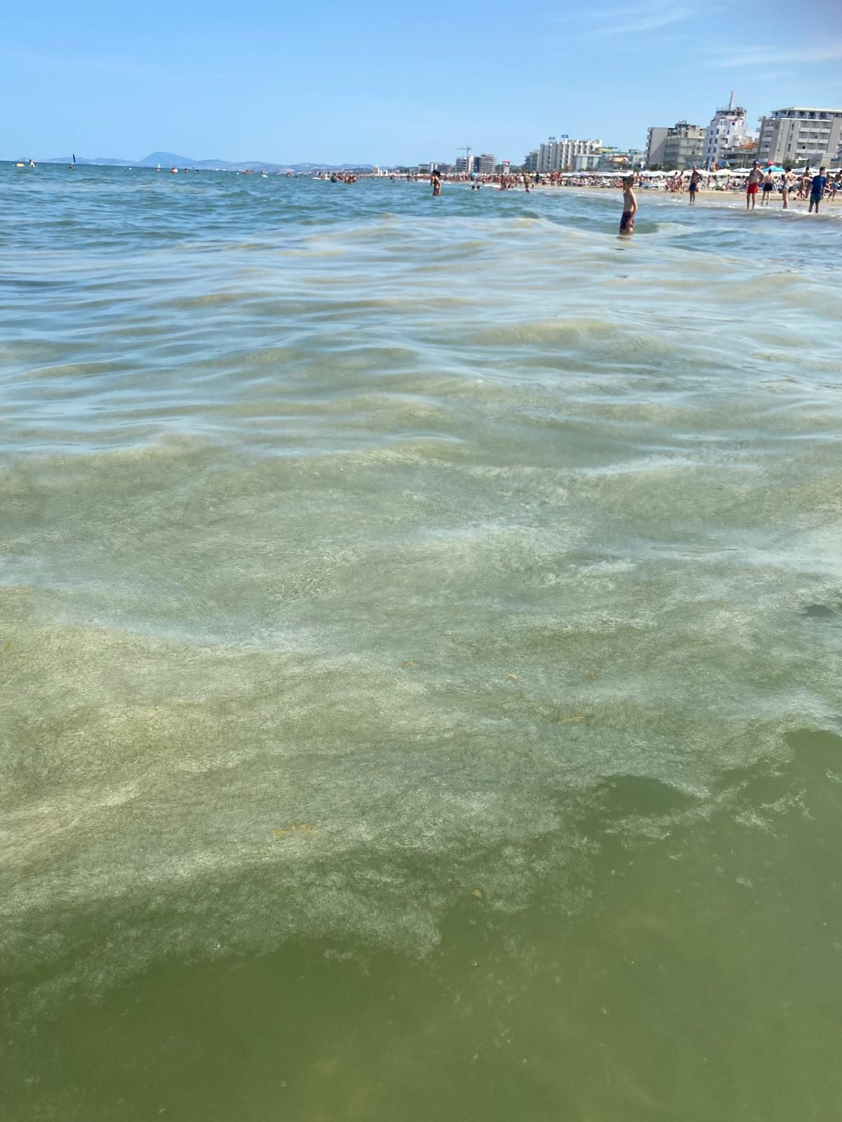 Mare: mucillagine in alto Adriatico